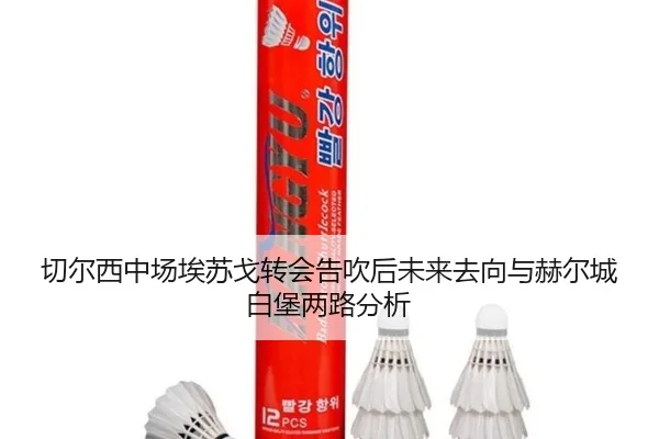 切尔西中场埃苏戈转会告吹后未来去向与赫尔城白堡两路分析